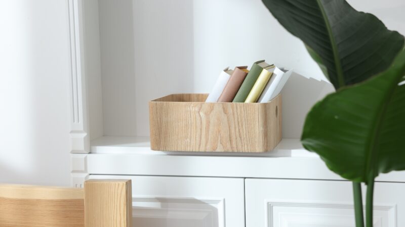 A wooden box holds several books on a white shelf beside a large green plant